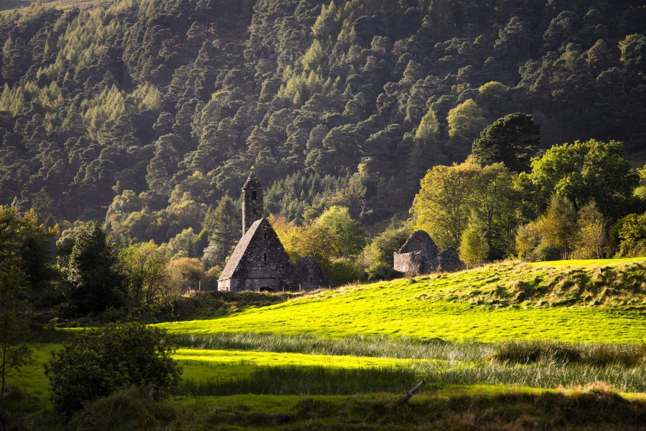church surrounded by greenery 